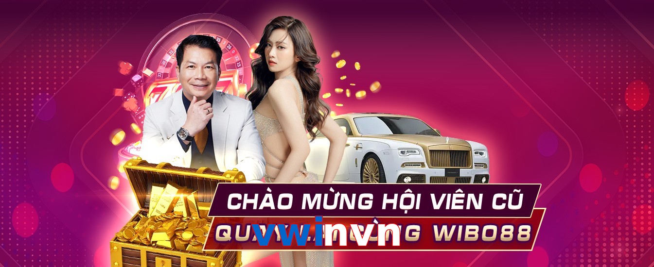 vwinvn