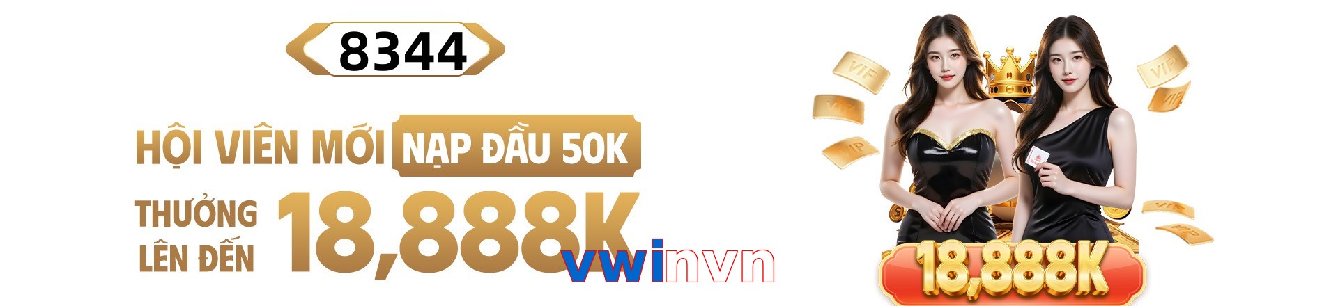 vwinvn